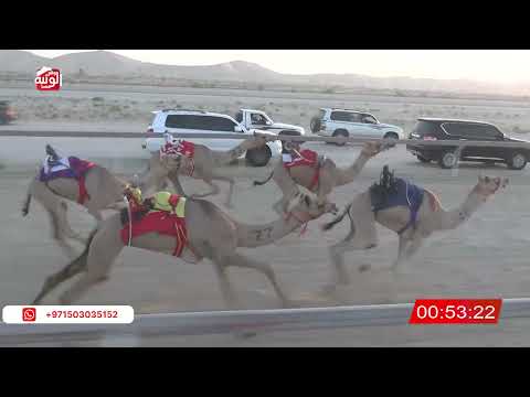 ش 1 (الشاهينية) لـ محمد عبيد حمد بن عفصان المنصوري 2:21 , شارة الصندوق 2026/06/27 فطامين الخزنة  