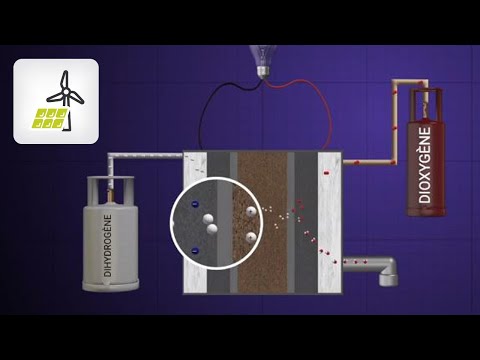 download lagu mp3 mp4 Pile Combustible, download lagu Pile Combustible gratis, unduh video klip Pile Combustible