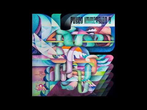 03. Windowbrains - Later On