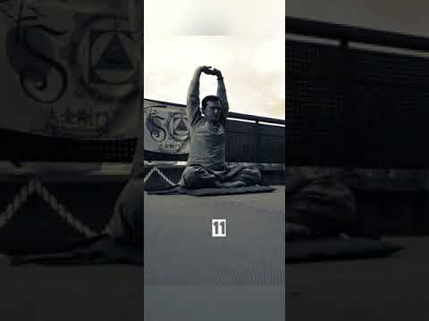 Meditation des 17 mudras