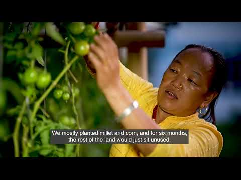 5. Increased agriculture productivity