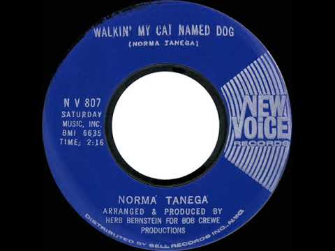 1966 HITS ARCHIVE: Walkin’ My Cat Named Dog - Norma Tanega (mono 45)