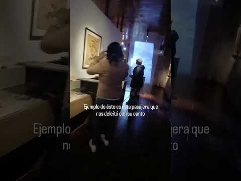 Seguimos guiando y cada visita deja su marca, cómo esta pasajera que nos deleitó con su canto!