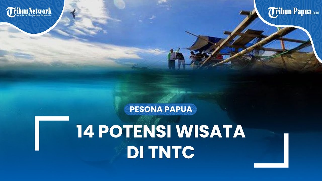 Ada 14 Potensi Wisata di Kawasan Taman Nasional Teluk Cenderawasih yang