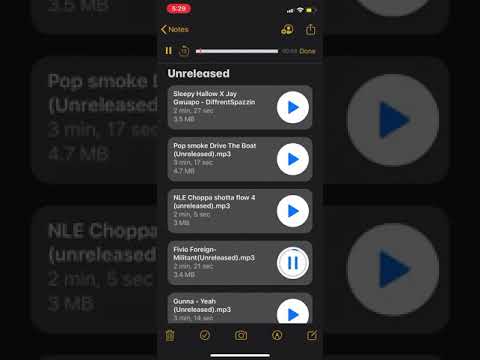 Fivio Foreign Militant(Unreleased)