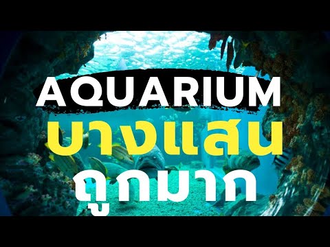 สถาบันวิทยาศาสตร์ทางทะเล