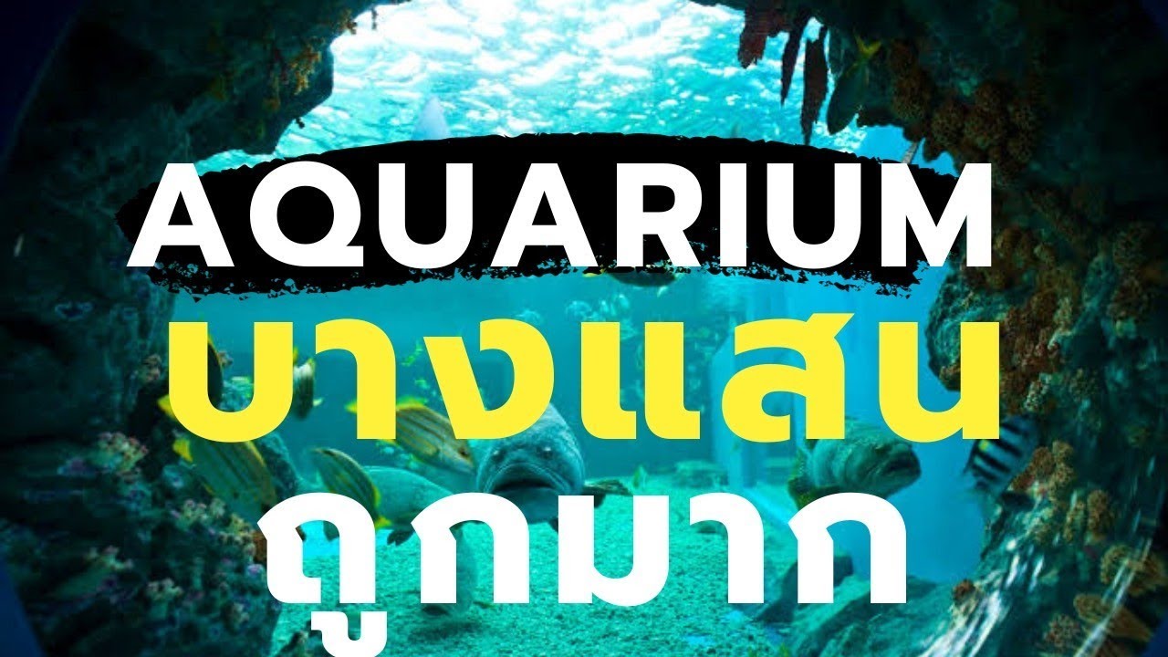 สถาบันวิทยาศาสตร์ทางทะเล