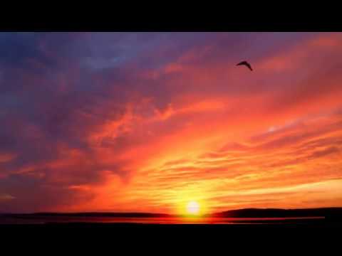 Relaxing Nature Sounds-Study-Sleep-Meditation-Water Sounds-Bird Song | By Gulzar Saab