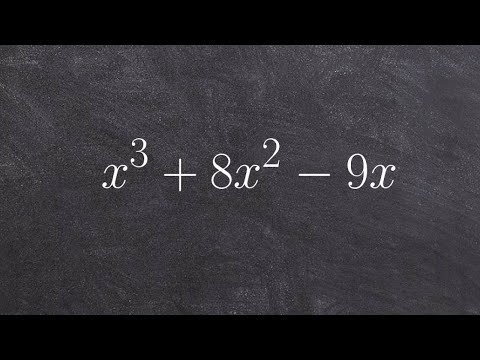 How to factor a polynomial to the third degree by factoring out an x