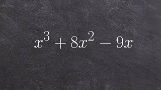 How to factor a polynomial to the third degree by factoring out an x