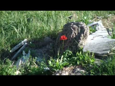 Sherry Fino, Berna - Búnker (Audio Oficial)