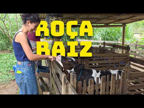 Será que vale a pena morar no interior de Minas?