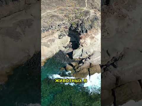 Факты, в которые трудно поверить, но они настоящие 🤯#shorts #факты #удивительно #инфошортс