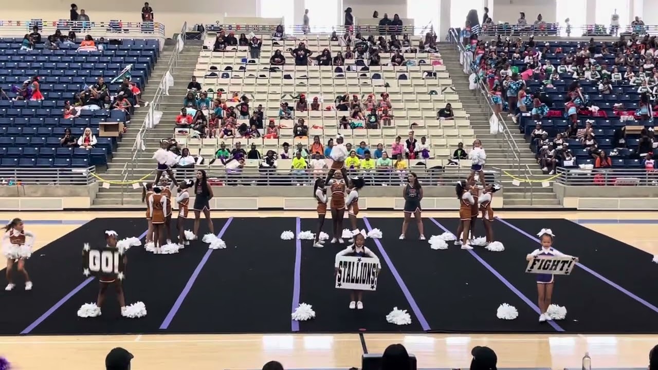 Sienna Lady Stallions Gameday - 1st🥇- FBYFL Cheer Extravaganza - Hopson Fieldhouse 11/17/24