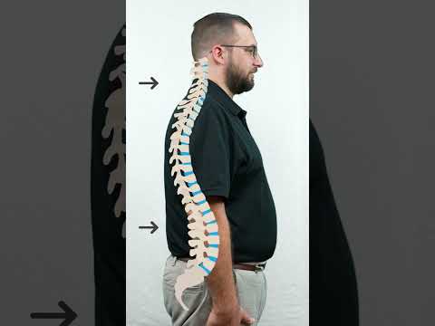 What Is The Natural Shape Of The Spine?