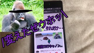 チャンネル名変えました。