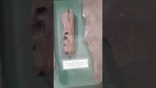 Download lagu Masjid Agung Demak Saat Sebelum Dipugar Dan Koleksi Tatal Tiang Masjid Peninggalan Sunan Kalijaga mp3