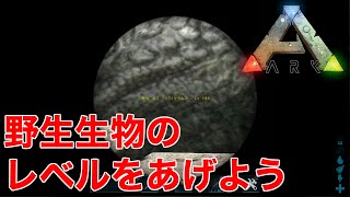 Ark ペイントデータの作り方 39 Ark Survival Evolved برنامج تنزيل Mp3 الأكثر شعبية على الإنترنت