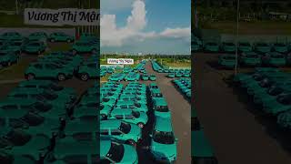 Xe VinFast bạt ngàn... nhiều vô kể #vinfast #xedien #otodien #giaxeotocumoinhat #chotototo 