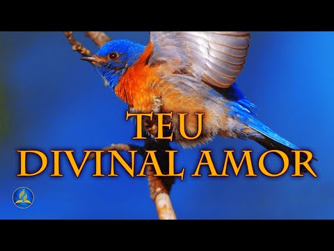 Hinário Adventista 293 - TEU DIVINAL AMOR