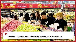 Domestic demand powers economic growth | Vietnam Today