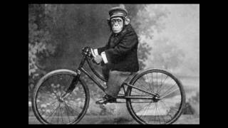 sly n robbie - return to the bass and trouble