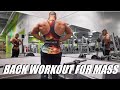 BACK WORKOUT FOR MASS 101