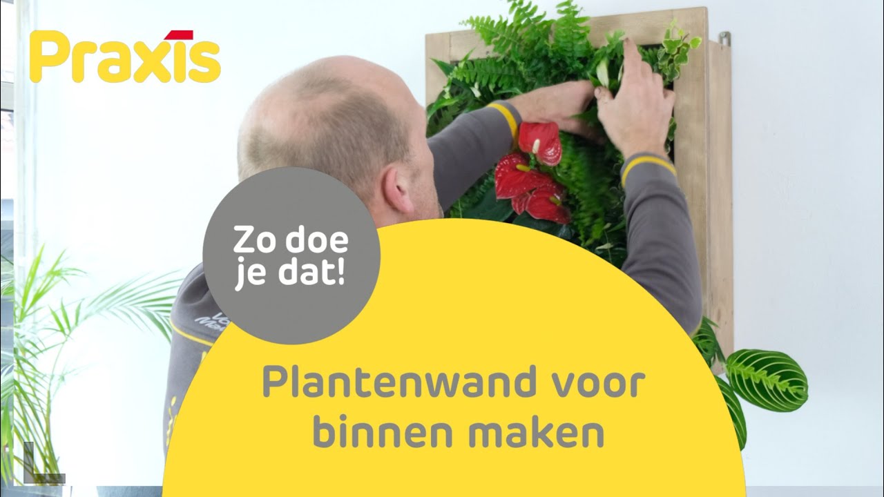 Plantenwand voor binnen maken