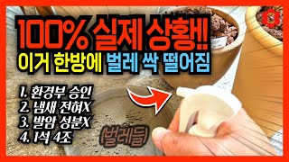귀찮으면 딱 한번만 뿌리자