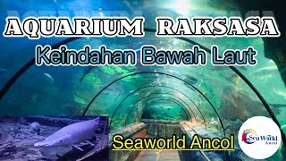 Download lagu Giant Aquarium in Seaworld Ancol | Underwater Wonder mp3