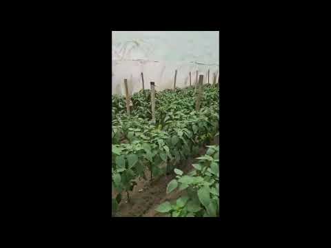 Postavme farmu Keszanovcov na nohy po ničivom krupobití so supercelou