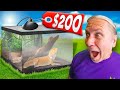 Best Bearded Dragon Cage For Under 200