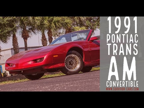 1991 Pontiac Firebird Trans Am (CC-1464455) for sale in Palmetto, Florida