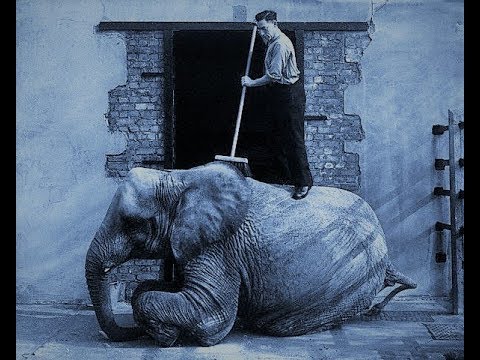 Go Wash An Elephant (If you wanna do something big) Haring's Happy Harmonizers (1927)