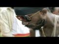 Sizzla Kalonji - The World Is Watching Ft Peter Jackson - The Scriptures - 2011