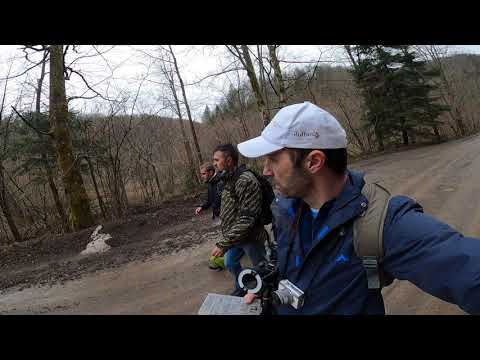 Inventarizacija gljiva - Spomenik prirode Tajan (prvi teren i početak projekta)