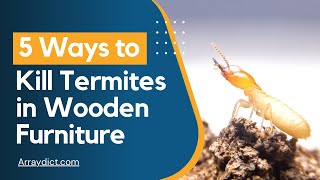 How to Get Rid of Termites From Your Wooden Furniture (Pest Control)