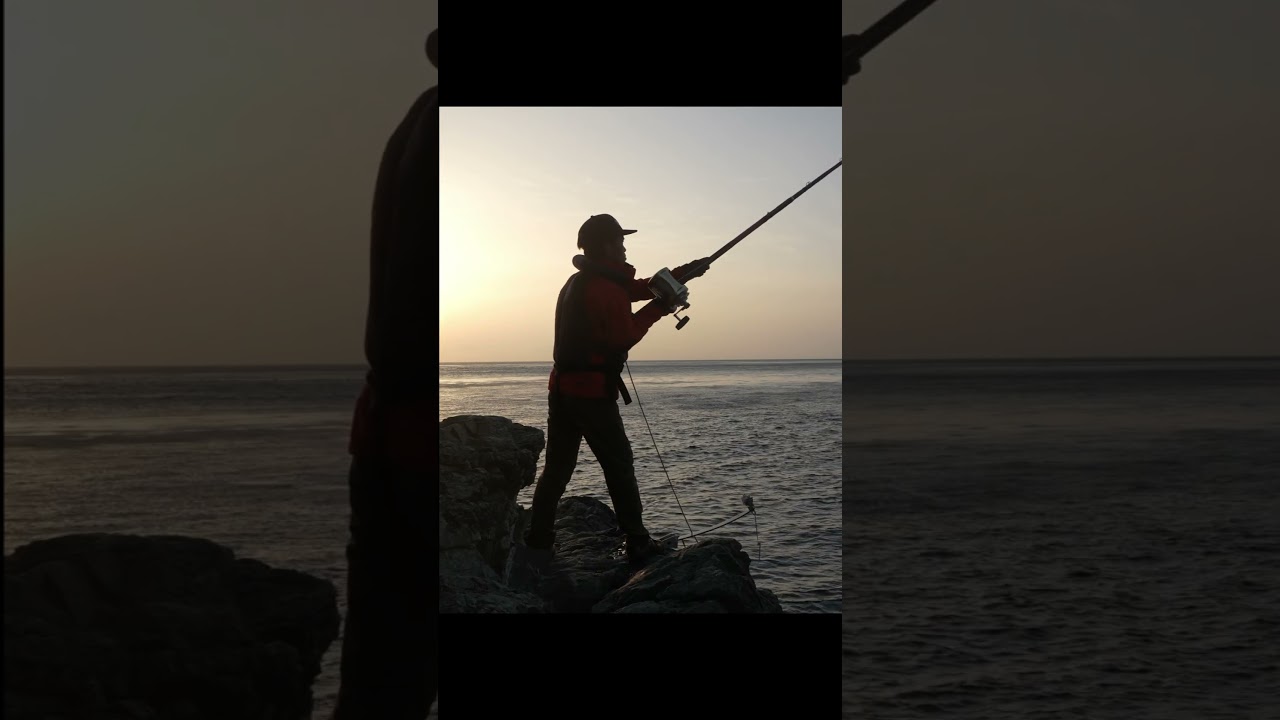 30kg級の超巨大魚を釣り上げた！ #fishing #grouper #釣り