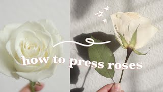 How to press roses (easy-to-follow instructions) | 2 ways to press roses and a FREEBIE to help you