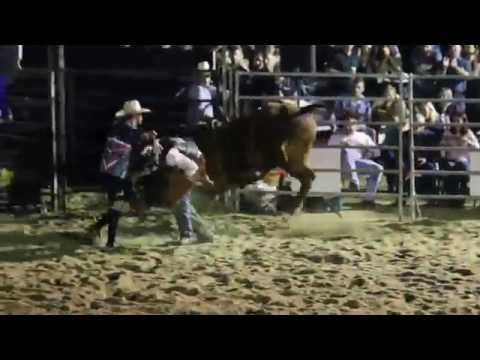 Bullmania Bowen 2014