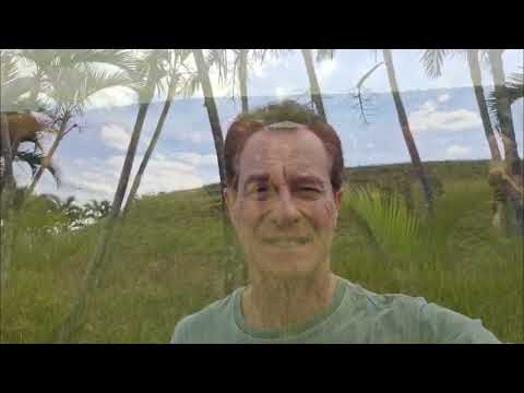 VALE A PENA TROCAR O BONSMARA? ESPECIALISTA REVELA MELHOR RAÇA PARA O TRICROSS