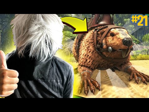 RUBIAMO Risorse ai CASTORI - Ark Survival Evolved ITA #21