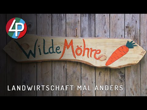 Die „WildeMöhre" - Solidarische Landwirtschaft mal anders