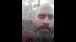 Wild crow on my shoulder saying hi.