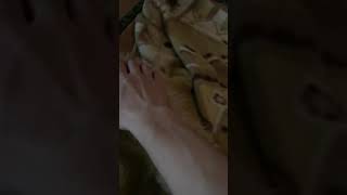 家に来てから1週間後