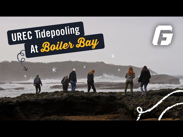 Watch video: Tidepooling at Boiler Bay, Oregon