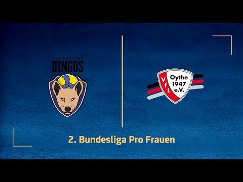 TV Dingolfing – VfL Oythe (2. Volleyball Bundesliga Pro F 25/26)