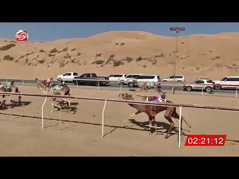 الشوط 23 (ريمه) لـ سالم عبد الله المتفيج 6:27 , شارة الديوان 2025/10/25 لقايا اللبسه 