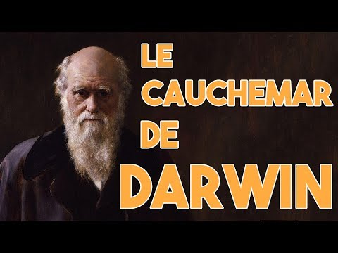 Le cauchemar de Darwin - VLOG#4