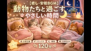 【120分】【癒し・安眠BGM】動物たちと過ごすやさしい時間🌙🐶🐱🐰🐹🐿️｜お留守番・リラックス・睡眠・作業用BGM｜